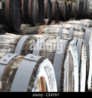 Port de chêne des tonneaux de vin dans une rangée Banque D'Images