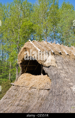 Toit couvert de roseaux gable Banque D'Images