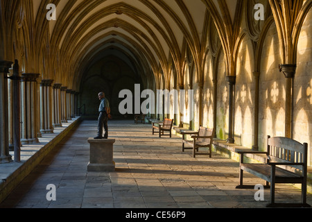 Le cloître de la cathédrale de Salisbury de Salisbury, Wiltshire, Angleterre, Royaume-Uni. La statue est par Sean Henry. Banque D'Images