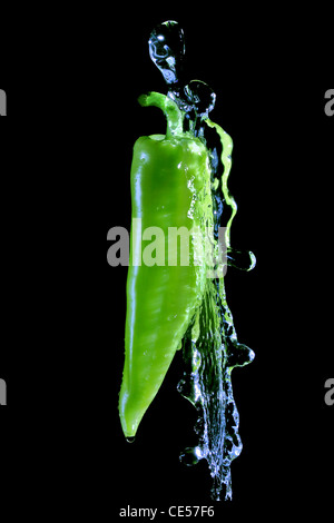 Poivre vert éclaboussé par l'eau sur fond noir Banque D'Images