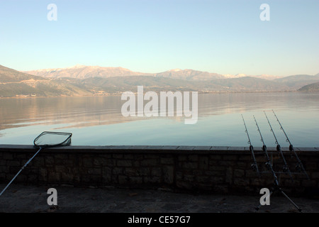 Canne à pêche près du lac Pamvotis, Ioannina, Epiros, Grèce Banque D'Images