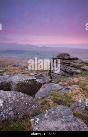 Vue en direction de High Willhays de Belstone Tor au lever du soleil, Dartmoor, dans le Devon, Angleterre. L'hiver (Janvier) 2012. Banque D'Images