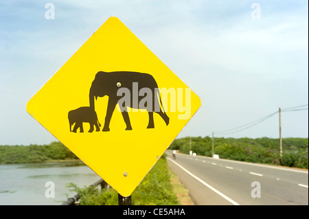 Wanring éléphant jaune panneau sur la route au Sri Lanka Banque D'Images