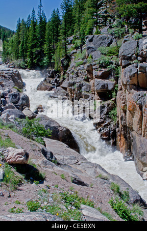 Chutes de la Powder River dans le nord du Colorado Banque D'Images