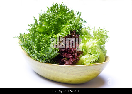 Assortiment de laitue (Lactuca sativa) sur fond blanc Banque D'Images