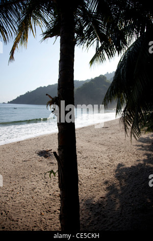 Grande Rivière, un village de pêcheurs sur l'angle nord-est de Trinidad c'est un site de nidification de la tortue luth. Banque D'Images