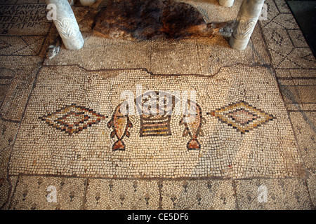 Mosaïque, l'église de la multiplication des pains et des poissons, Tabgha, Israël Banque D'Images