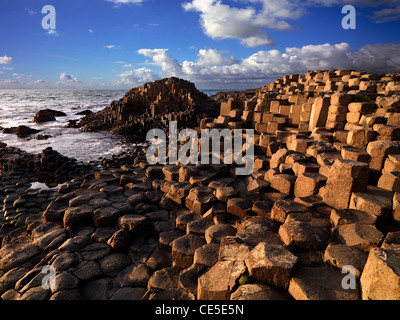 Le site du patrimoine mondial de l'UNESCO, Giants Causeway, North Coast, County Antrim, Irlande du Nord Banque D'Images