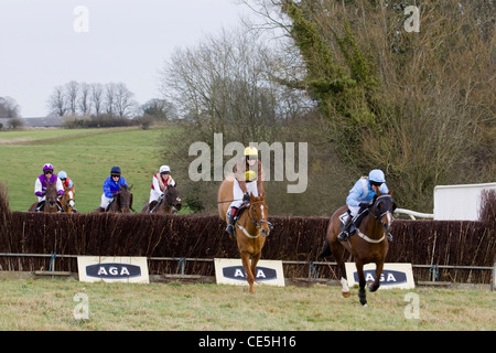 Chevaux de course de sauter des clôtures à brosse un point local de réunion point Banque D'Images