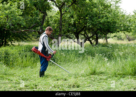 Worker cutting grass dans jardin avec la tondeuse de mauvaises herbes Banque D'Images