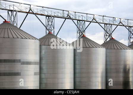 Les silos en acier, utilisé pour stocker du grain provenant de diverses cultures de céréales, dans la région centre-ouest de la Nouvelle Galles du Sud, Australie Banque D'Images