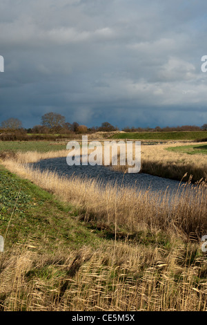 Vue d'une rivière serpentant à travers l'herbe haute. Banque D'Images