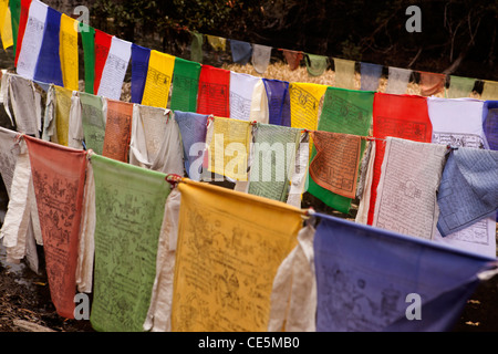 L'Inde, de l'Arunachal Pradesh, Tawang, Thongmen Gompa, les drapeaux de prières colorés Banque D'Images