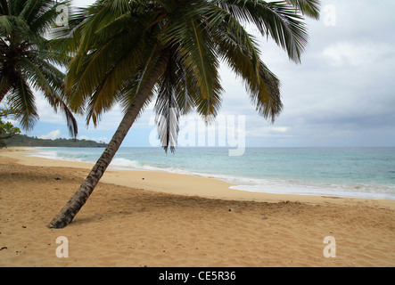 Plage des Caraïbes en mauvais climat tropical Banque D'Images