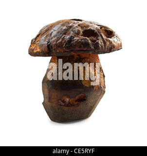 Champignons noirs est isolé sur fond blanc Banque D'Images