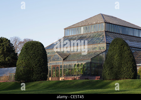 Palm House dans les jardins botaniques, Glasgow, Écosse, Royaume-Uni Banque D'Images