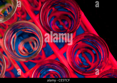 Rack de tubes à essai contenant un liquide, voyant de couleur rouge et bleue. Banque D'Images