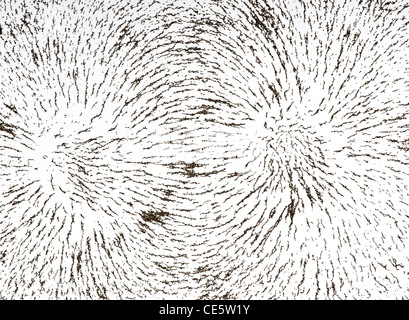 Champ de force magnétique autour d'un seul aimant visualisé avec de la limaille de fer épars sur le papier sur l'aimant. Banque D'Images