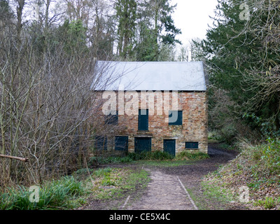 Bâtiment abandonné dans la forêt Banque D'Images