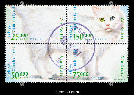 Bloc de quatre timbres-poste de la Turquie qui, ensemble, représentent un chat blanc. Banque D'Images