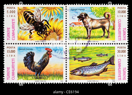 Timbres-poste de la Turquie représentant une abeille, chien coq et les poissons. Banque D'Images