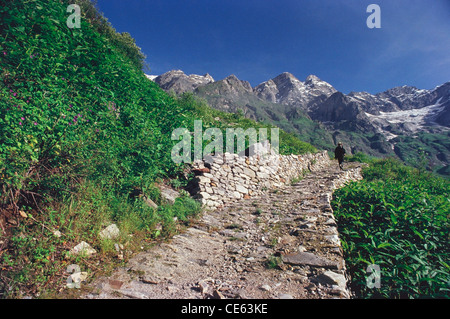 Vallée des fleurs à partir de la route de trekking à Govindghat Ghangaria uttarakhand Uttaranchal Inde Banque D'Images