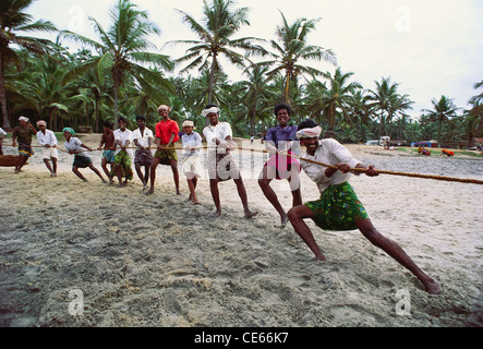 Pêcheurs tirant la corde pour tirer le filet de pêche avec leurs prises de poissons ; Kerala ; Inde ; Asie Banque D'Images