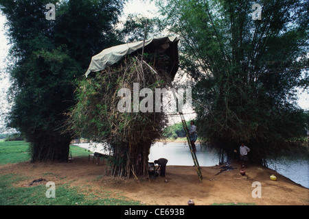 Tour de surveillance anti braconnage construite sur le buisson de bambou ; rivière Kasbani ; rivière Kabini ; rivière Kapila ; Kabini ; district de Wayanad ; Karnataka ; Inde ; Asie Banque D'Images