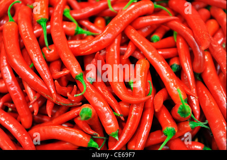 Vue rapprochée de piment rouge. Banque D'Images