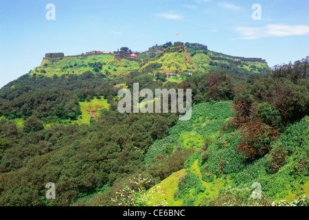 Fort Pratapgad et forêt près de Mahableshwar ; Mahabaleshwar ; Satara ; Maharashtra ; Inde ; Asie Banque D'Images