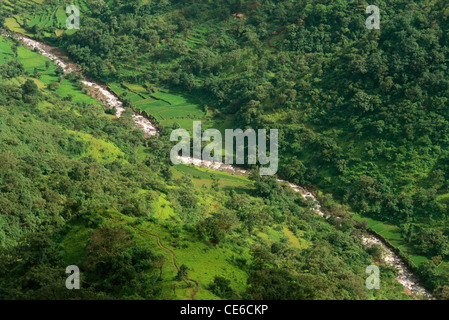 Rivière Kaveri qui coule à travers les champs verts de la vallée ; coorg ; kodagu ; Ghats occidentaux ; karnataka ; inde ; asie Banque D'Images