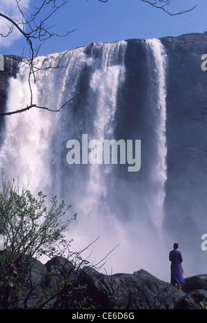 Cascade d'Athirappalli ; cascade d'Athirapally ; cascade d'Athirampilly ; kerala ; inde ; asie Banque D'Images