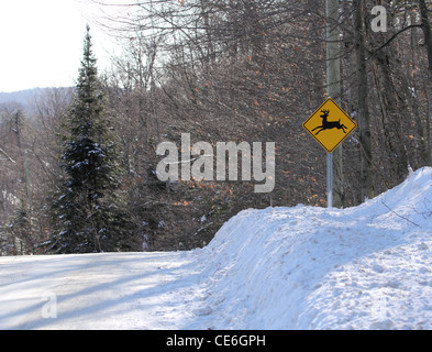 panneau de signalisation de cerf Banque D'Images