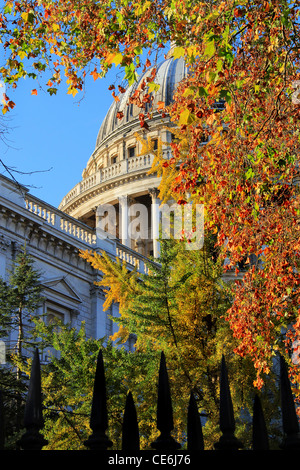 Close up de St Paul's Cathedral dome entouré d'arbres avec des feuilles d'or dans un ciel ensoleillé matin de novembre Banque D'Images