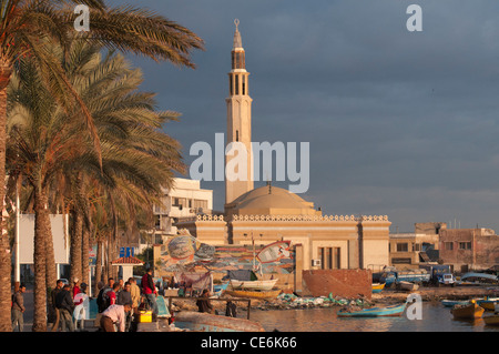 Mosquée sur le port de l'Est, Alexandria, Egypte Banque D'Images