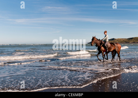 Les femmes d'équitation et cheval de formation en mer, New Zealand Raglan Banque D'Images