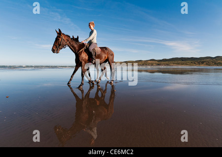 Les femmes d'équitation et cheval de formation en mer, New Zealand Raglan Banque D'Images