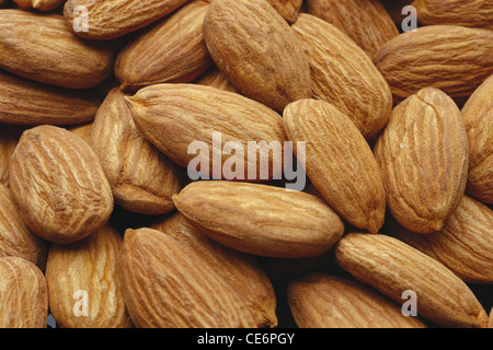 Amande décortifiée ; Almond, fruits secs décortiqués ; inde ; asie Banque D'Images