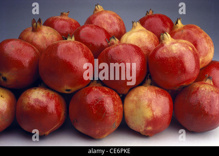Fruit grenade sur fond blanc ; inde ; asie Banque D'Images