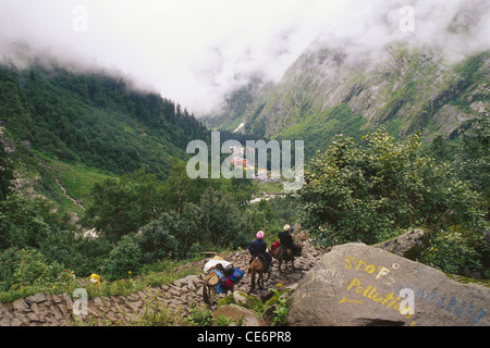 Chemin de randonnée jusqu'à Hemkund Sahib près de Ghangharia ; vallée des fleurs ; l'Uttaranchal ; Inde Banque D'Images