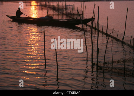 Les fermes de crevettes ; lac ; satpada ; ; Inde Orissa chilka Banque D'Images