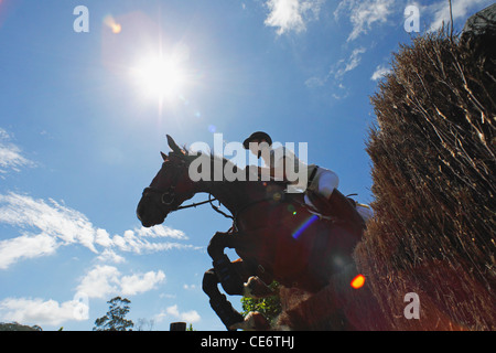 Femme Cavalier Cheval Banque D'Images