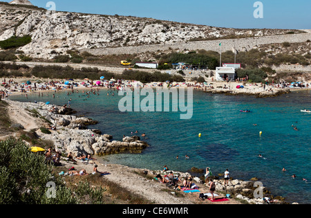 Calanques de Saint Esteve, Ile de l'archipel du Frioul, Ratonneu, Marseille ou Marseille, Provence-Alpes-Côte d'Azur, France, Europe Banque D'Images