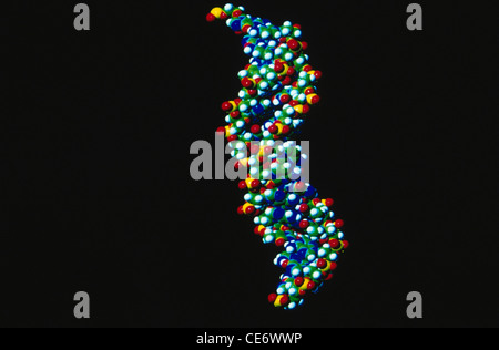 ADN ; acide désoxyribonucléique ; polymère à structure double hélice ; inde ; asie Banque D'Images