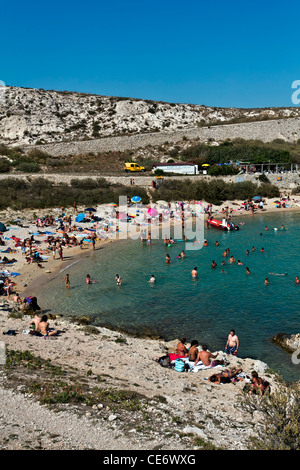 Calanques de Saint Esteve, Ile de l'archipel du Frioul, Ratonneu, Marseille ou Marseille, Provence-Alpes-Côte d'Azur, France, Europe Banque D'Images