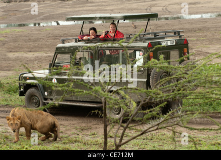 Les personnes à la recherche hors de l'extension de toit Land Rover sur safari à la recherche au lion Banque D'Images