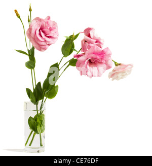 Bouquet de fleurs eustoma isolated on white Banque D'Images