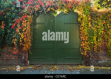 Gate avec portes en bois peint en vert, envahi de réducteur dans Virinian colorés de l'automne Banque D'Images