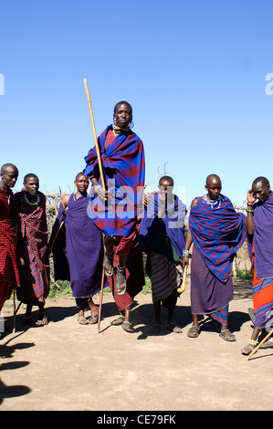 Les hommes d'un village Masai près du Parc National de Serengeti, Tanzanie, effectuer un saut traditionnel de la danse. Banque D'Images