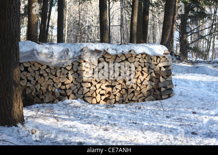 Grande piscine pile de bois, recouvert d'une bâche en hiver Banque D'Images